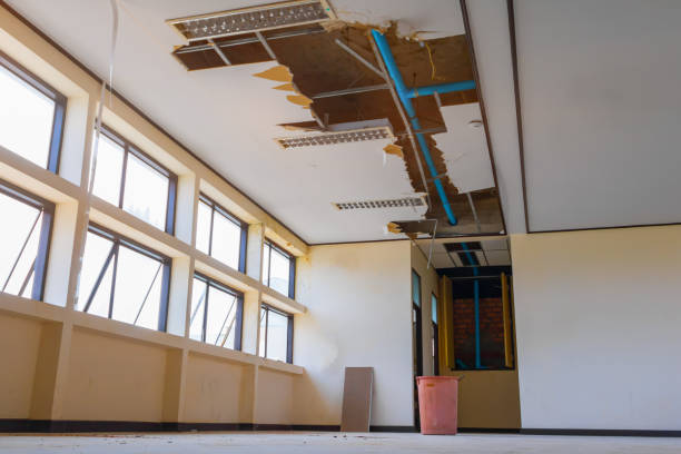 Water damage restoration insurance claims in Mertzon, TX