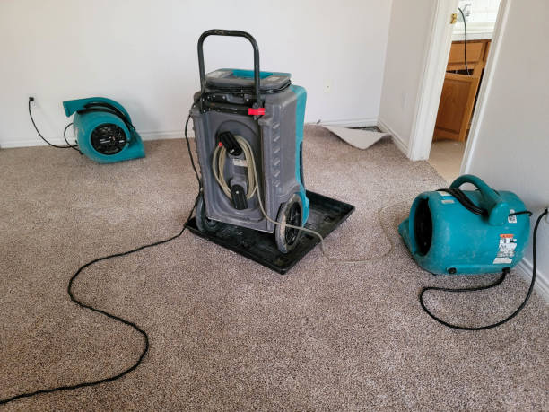 Best Water damage restoration insurance claims  in Mertzon, TX