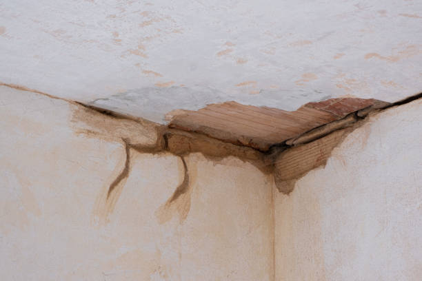 Best Flood restoration services  in Mertzon, TX