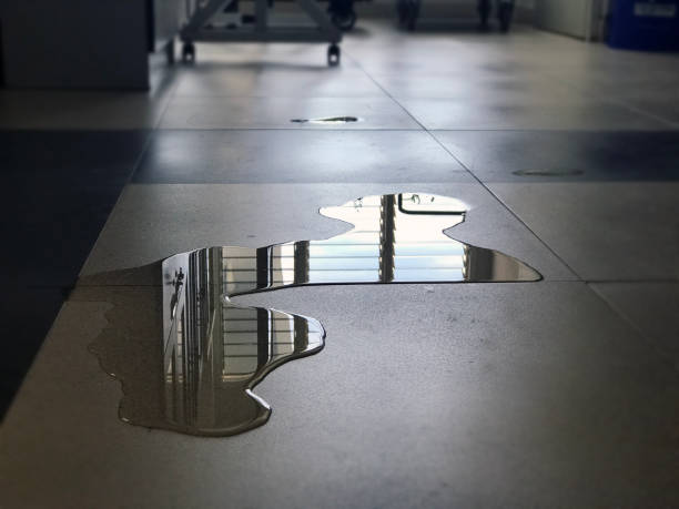 Best Water damage contractors near me  in Mertzon, TX