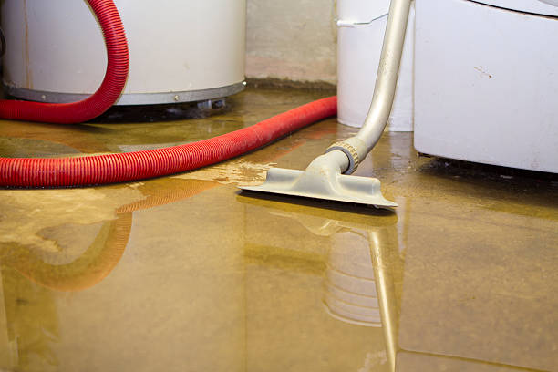 Best Water damage restoration experts  in Mertzon, TX