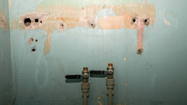 Best Water damage restoration near me  in Mertzon, TX