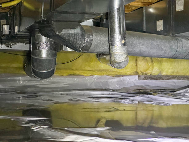 Best Water damage cleanup near me  in Mertzon, TX
