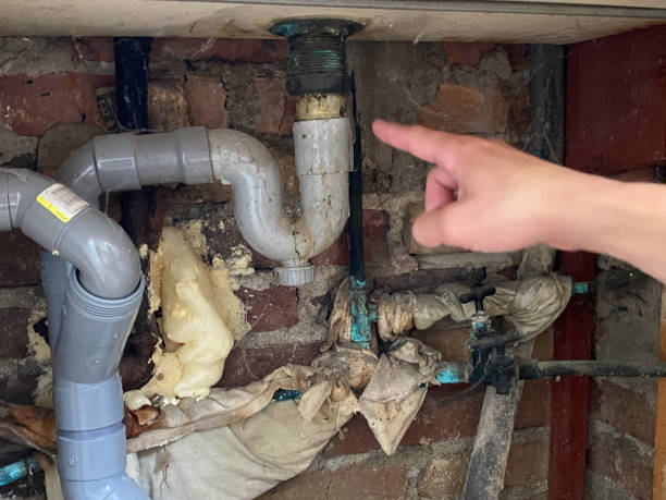 Trusted Mertzon, TX Water damage restoration Experts