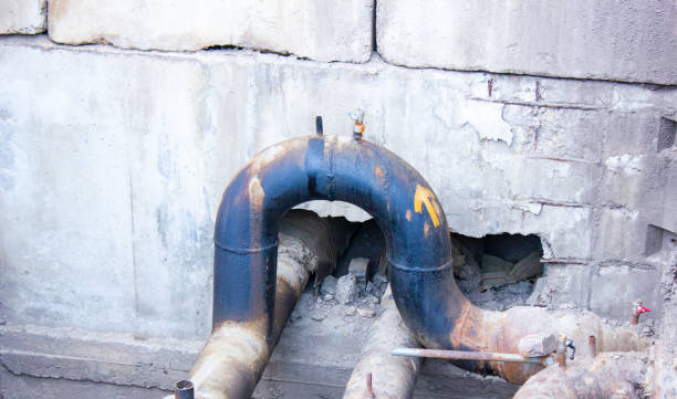 Best Local water damage restoration  in Mertzon, TX